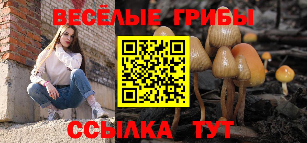 Псилоцибиновые грибы Psilocybe  Вход с VPN  Чернушка 